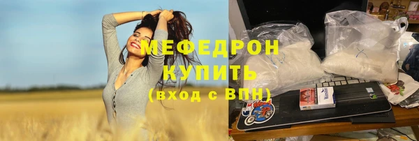 индика Абаза