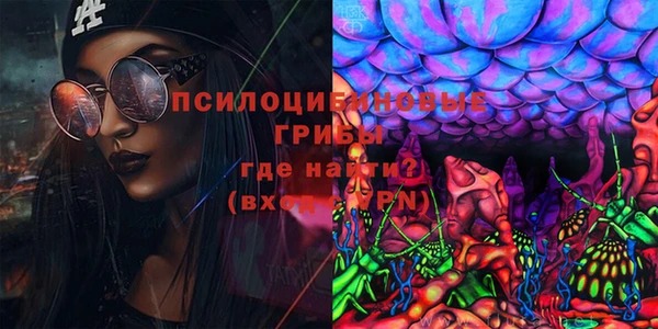 индика Абаза
