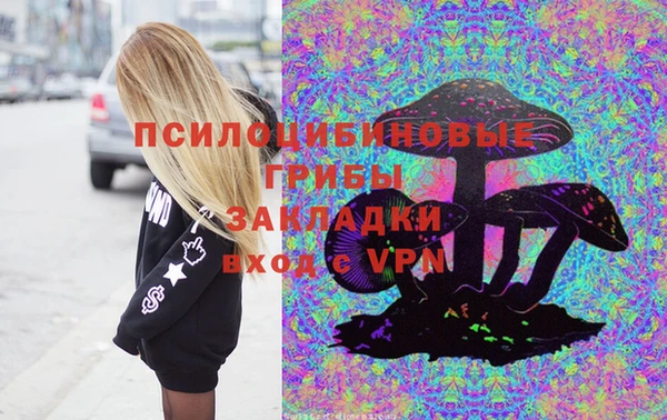 твердый Абинск