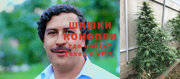 индика Абаза