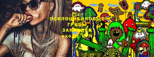 соль ск Алексин