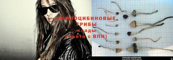 индика Абаза
