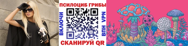 Псилоцибиновые грибы GOLDEN TEACHER  Североморск 