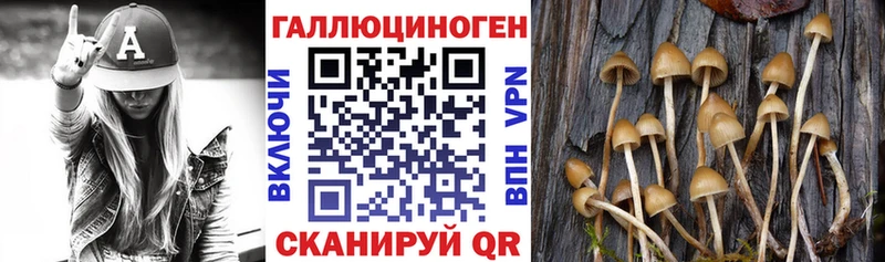 Галлюциногенные грибы мицелий Североморск